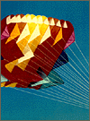 Kite